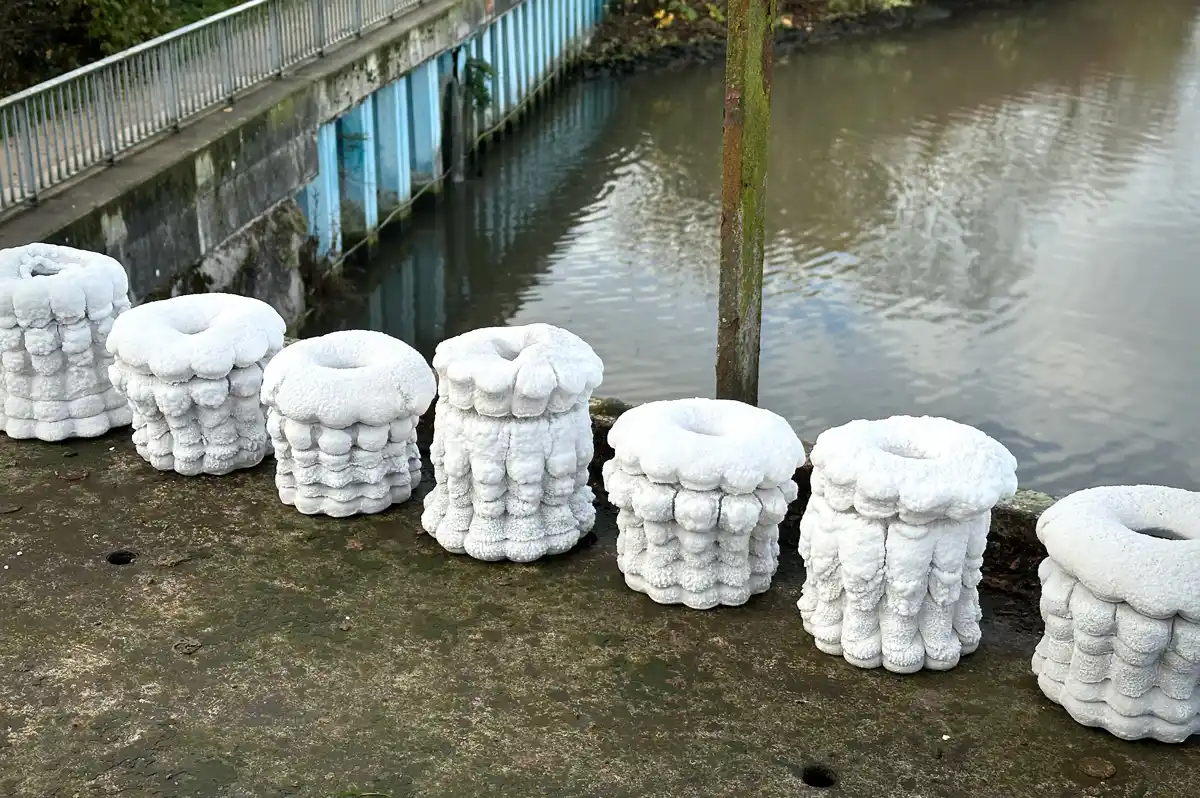 Dialogue éphémère