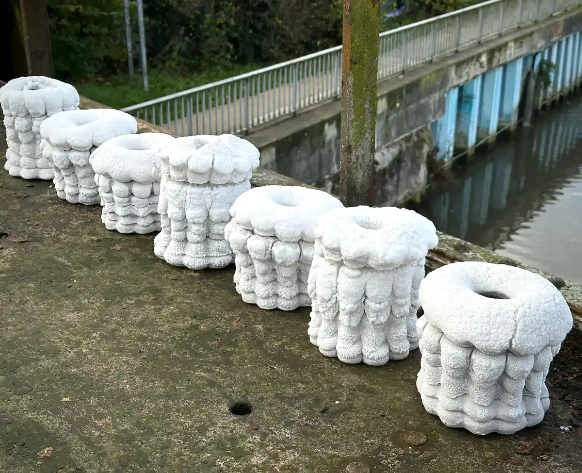 Dialogue éphémère